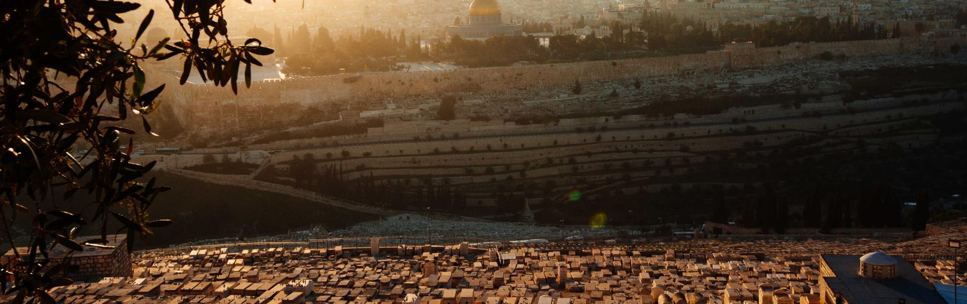 עולים להר הזיתים - סדרת סיורים חדשה מבית עיר דוד