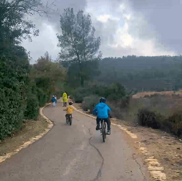 מסלול אופניים: האגם הנסתר - עמק הארזים