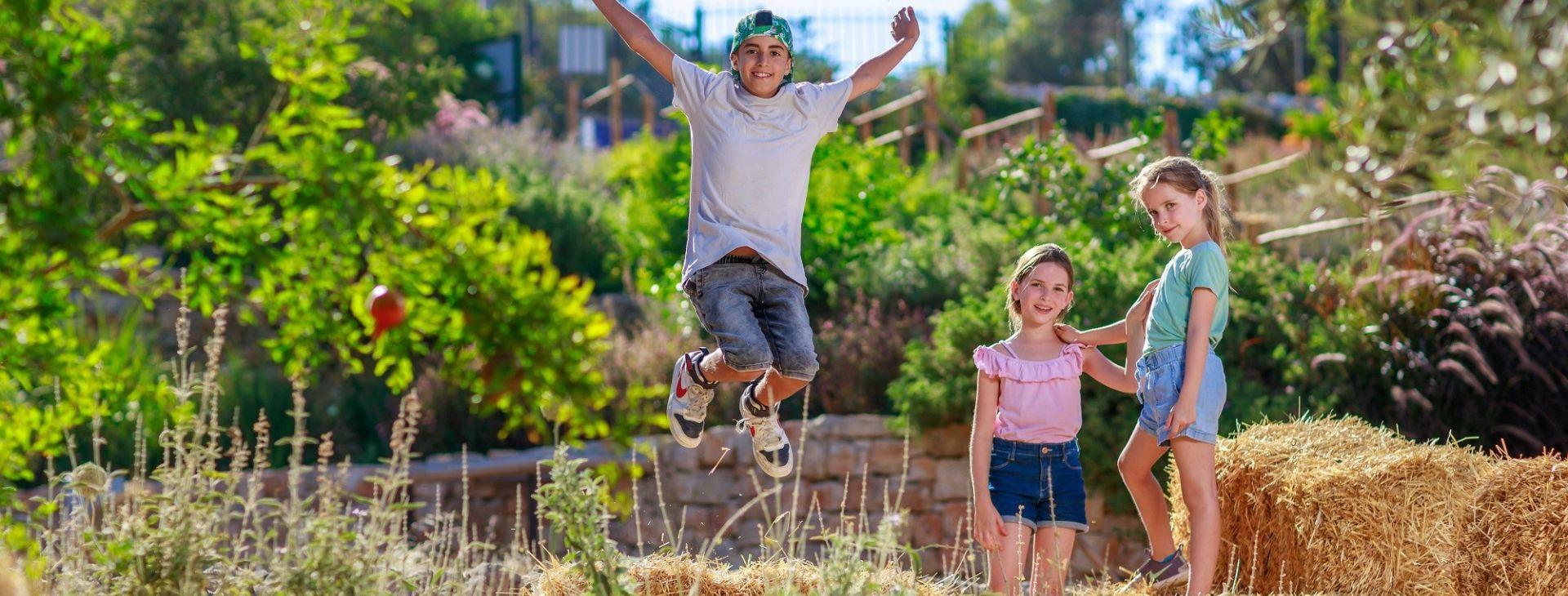 צילום של חגיגה בחווה בגיא: חגיגת קיץ לכל המשפחה