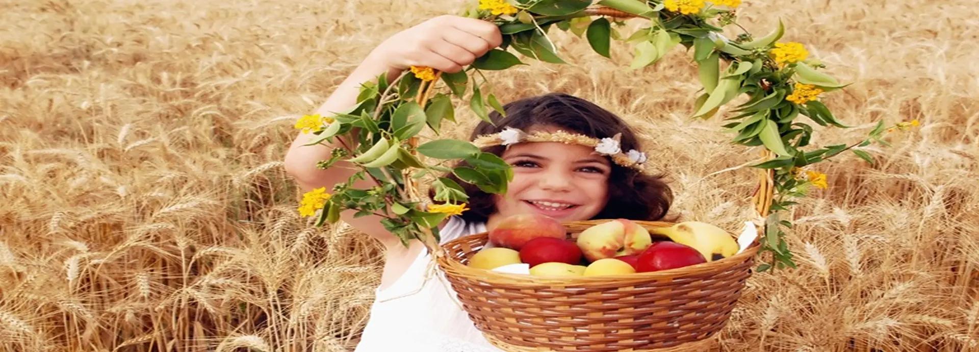 photo of Shavuot 2026: Celebrate the Festival of First Fruits in Jerusalem