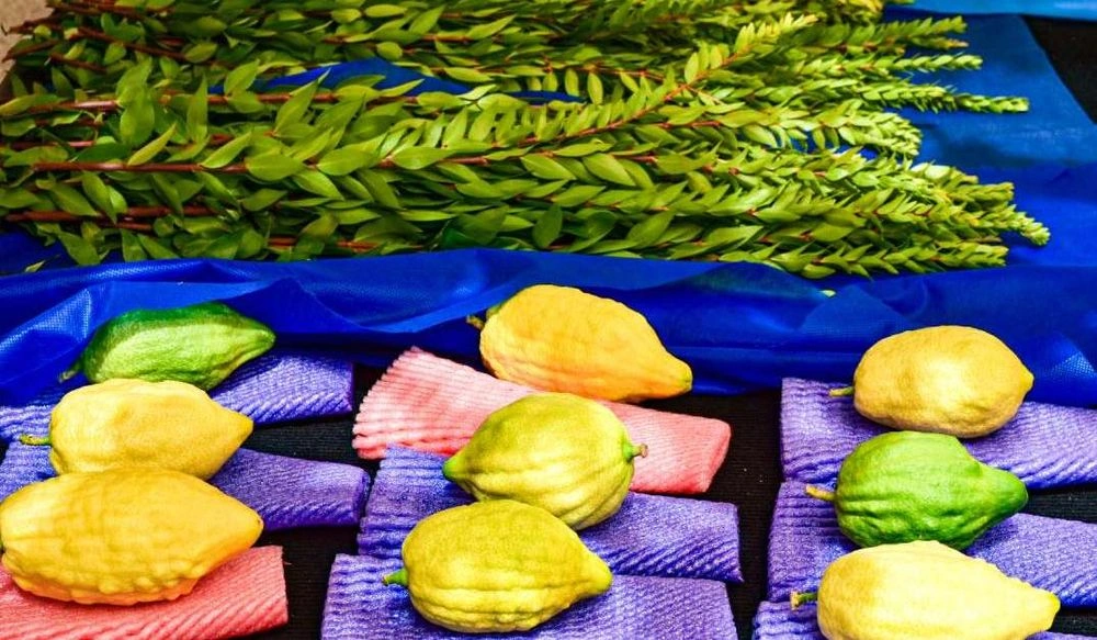 photo de Marché des quatre espèces