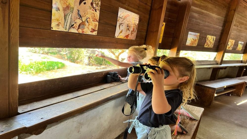 Foto von Die Jerusalemer Vogelwarte