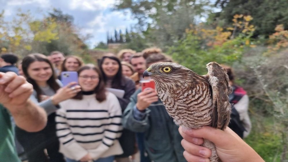 Foto von Die Jerusalemer Vogelwarte