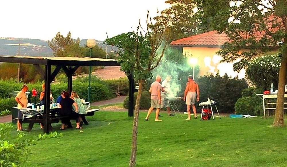 צילום של שורש ירוק בהר