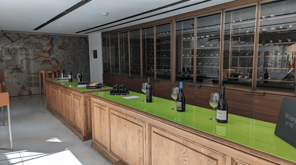 photo of Carmit Ehrenrich