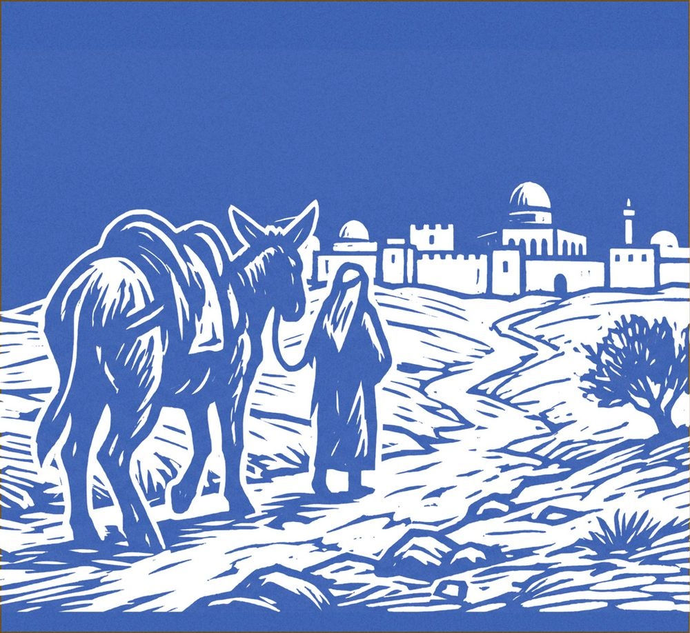 צילום של #סדר בוקר - עיון ביומני נוסעים לארץ הקודש - זום בבית אבי-חי