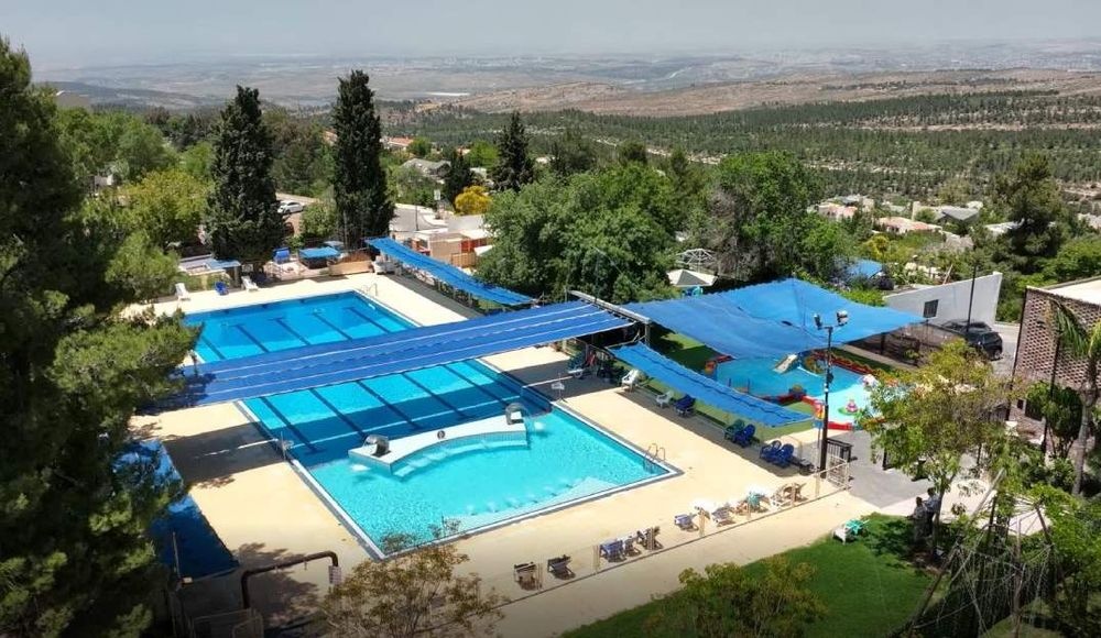 צילום של שורש ירוק בהר