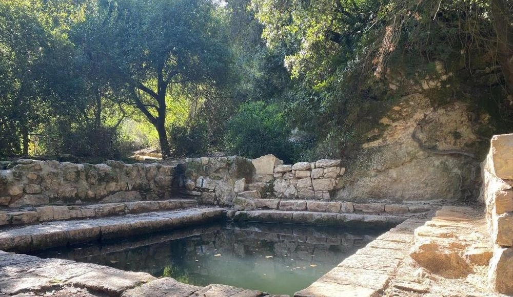 צילום של שמורת טבע עין טייסים