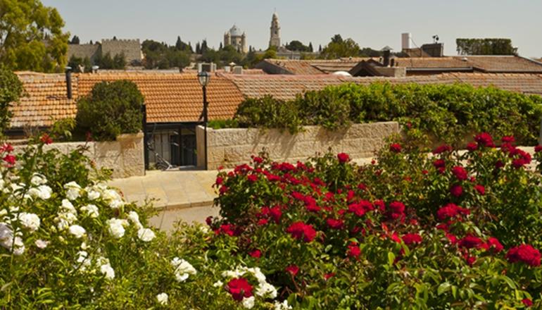 Wohl Rose parco