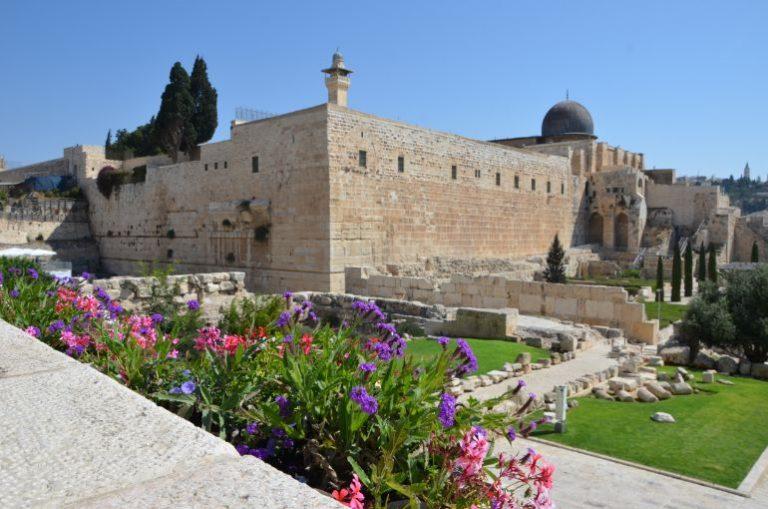 Half a Day in the Old City