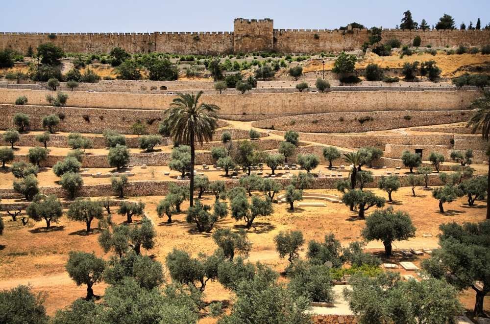 צילום של סיור מכתף הינום אל הרובע היהודי