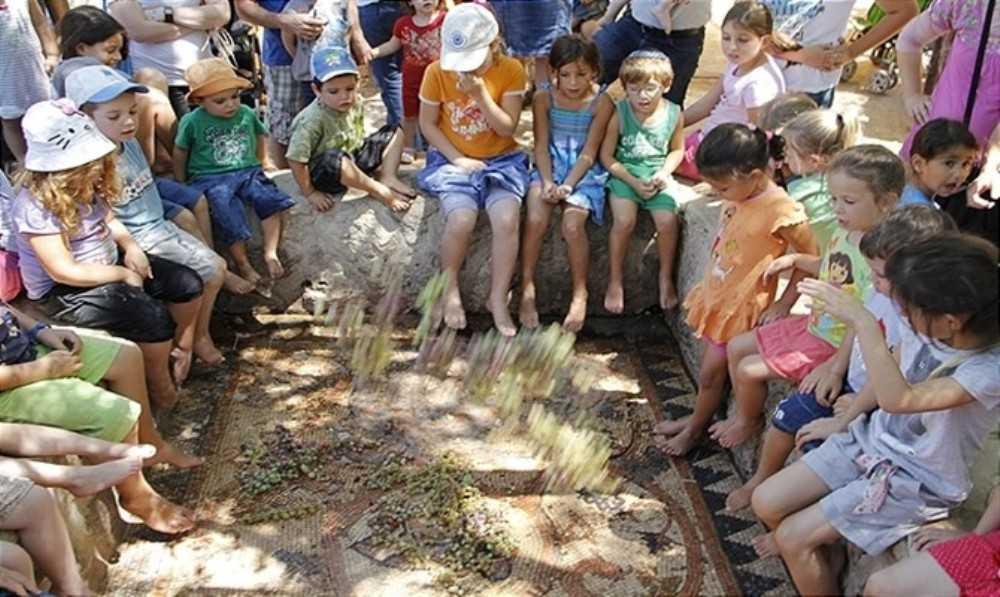 אטרקציות ליד קניון מלחה