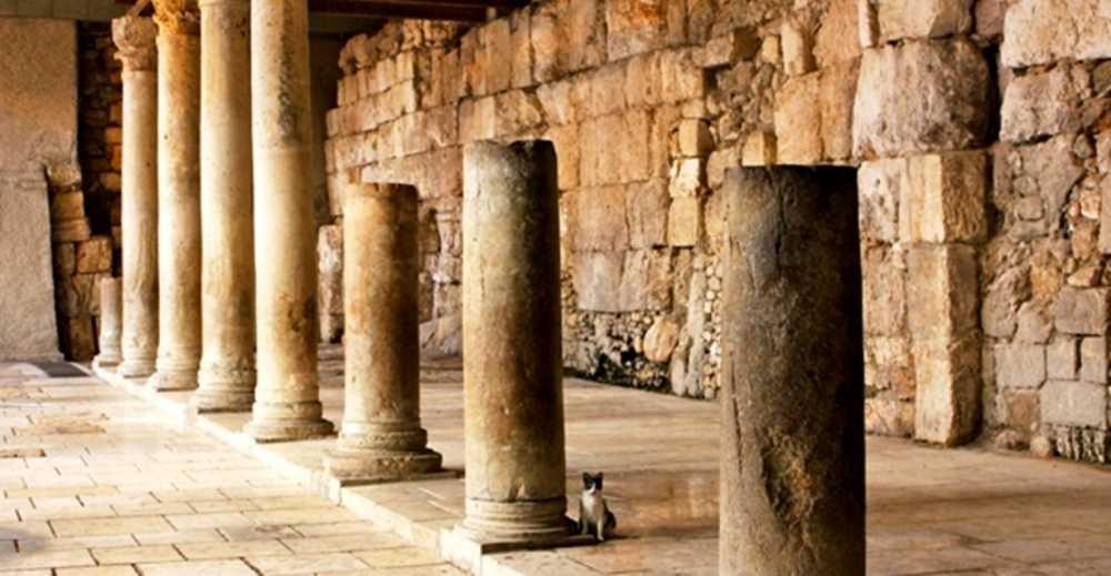 Der Cardo - Alte Römische Straße