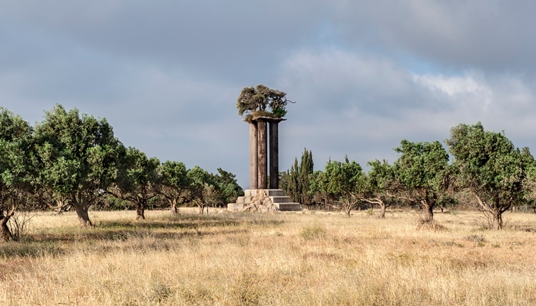 צילום של פארק הזיתים