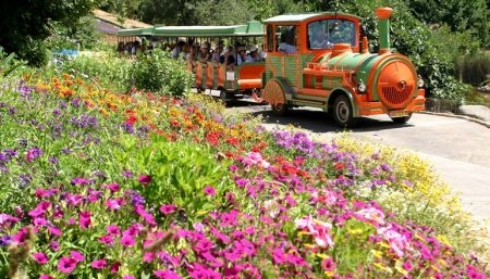 photo de Le jardin botanique