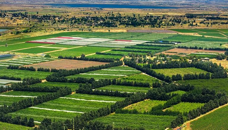 photo of 9 Day Classical Gems of Israel Package Tour
