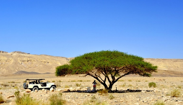 photo de Expérience Jeep Safari dans le désert et mer Morte