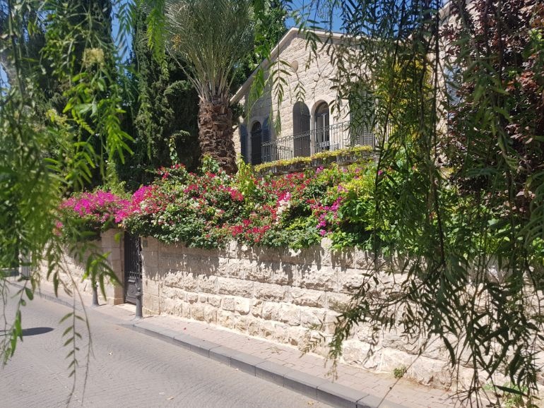 צילום של מושבה כפרית בלב העיר: סיור שבת קליל במושבה הגרמנית