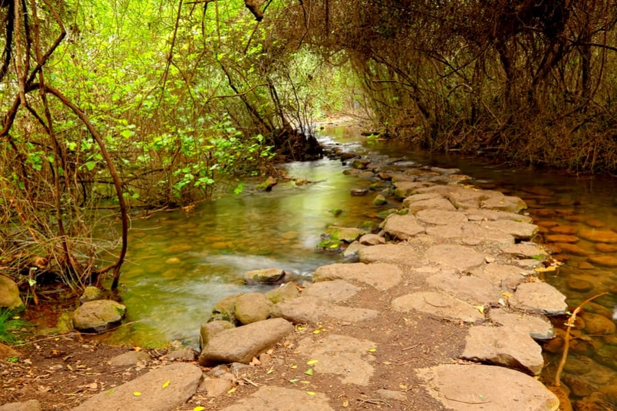 photo de Forfait 12 jours sur les joyaux classiques d'Israël et de Petra