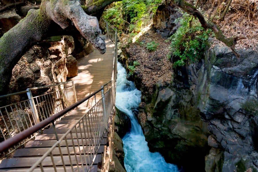 photo of 8 Day Jewish Treasures of Israel Package Tour