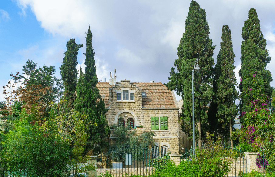 צילום של null