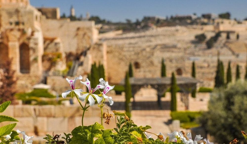 שלושת אלפי שנות היסטוריה בסיור מודרך ברובע היהודי