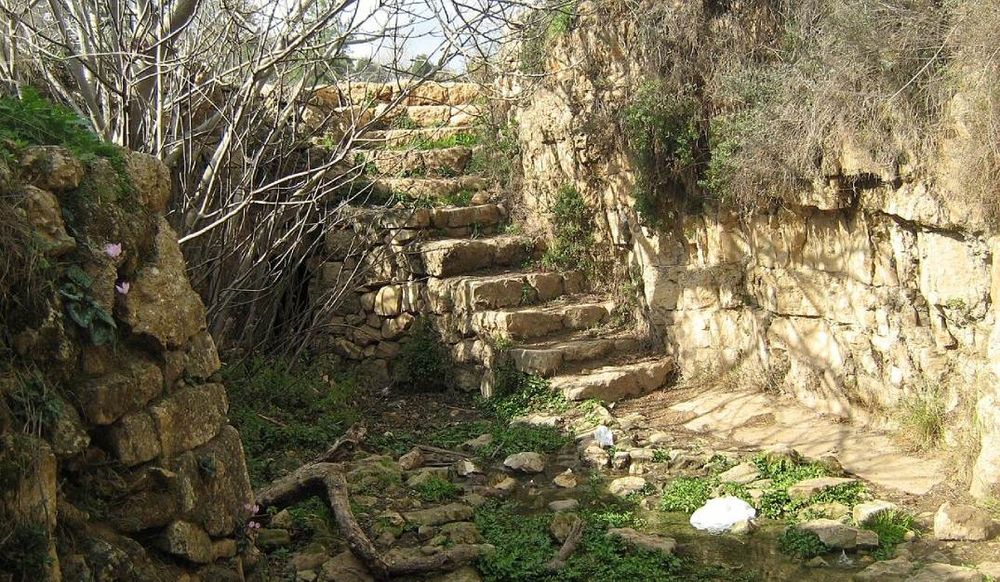 צילום: ויקיפדיה