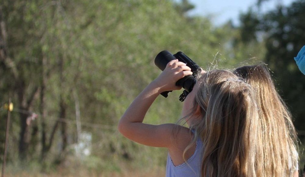photo of The Nili and David Jerusalem Bird Observatory