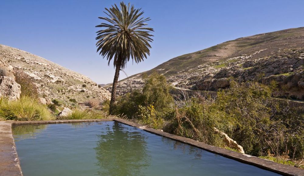 צילום: Dreamstime