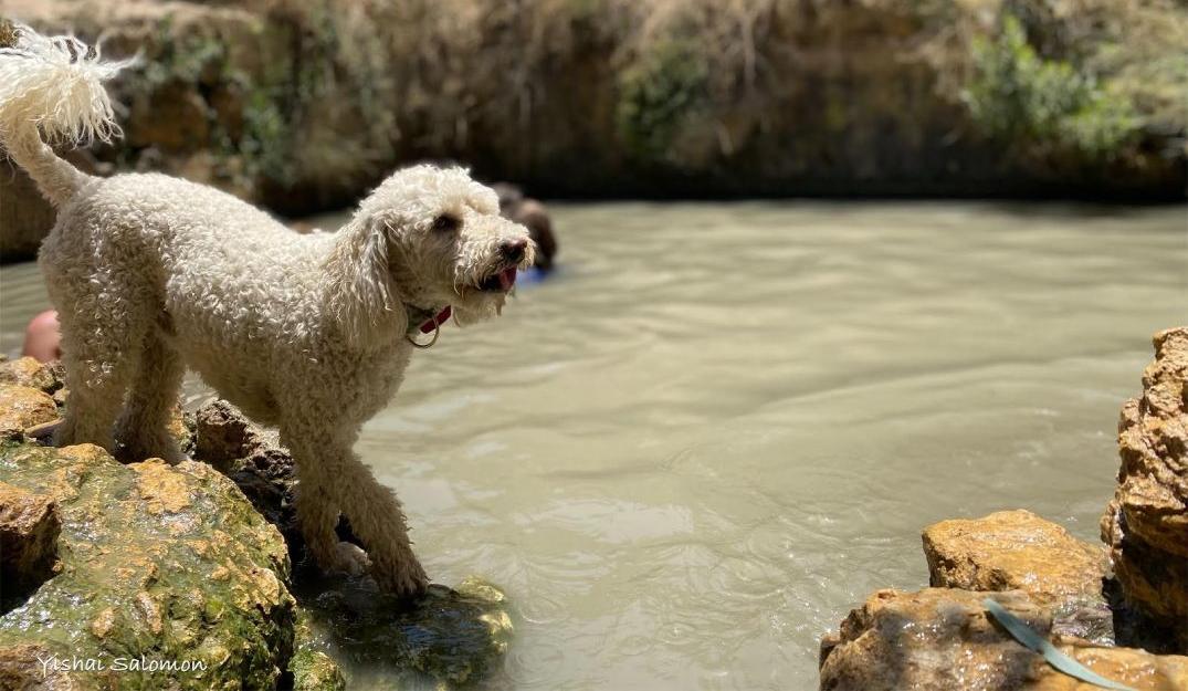 צילום של מעיין עין עוזי