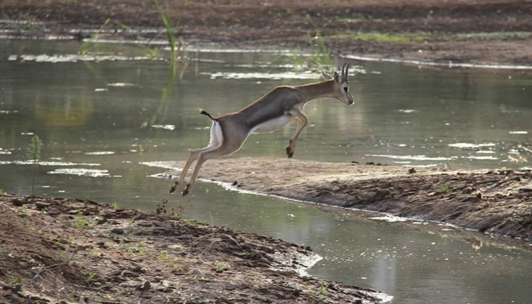 photo of Gazelle Valley Park